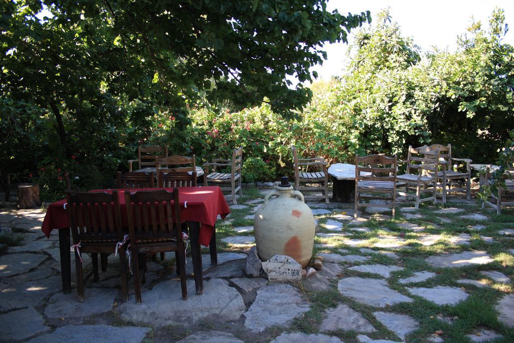 Hoppala Pension ดัตชา ภายนอก รูปภาพ